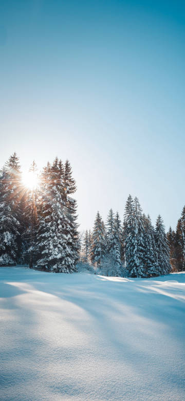 Snow covers trees winter scenery 4k phone Wallpaper