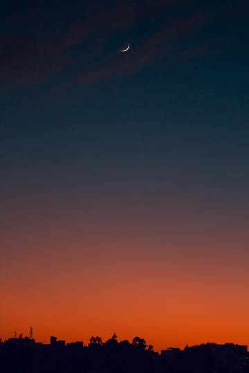 Silhouette Of Trees During Sunset wallpaper