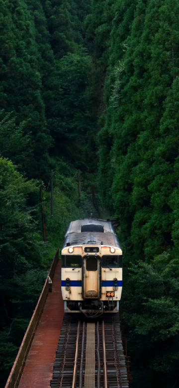 train traveling on a mountain bridge phone wallpaper