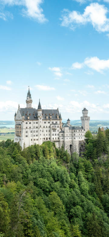 New Swan Castle natural landscape  phone wallpaper