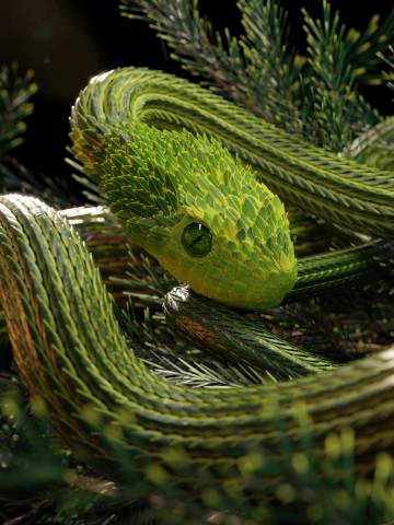 3D green snake wallpaper