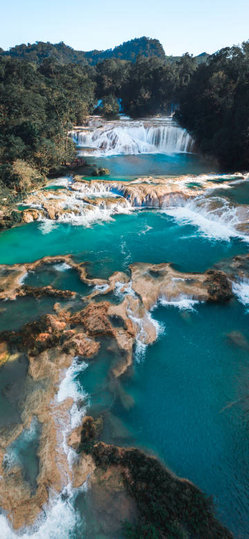 A waterfall surrounded by dense forests phone wallpaper