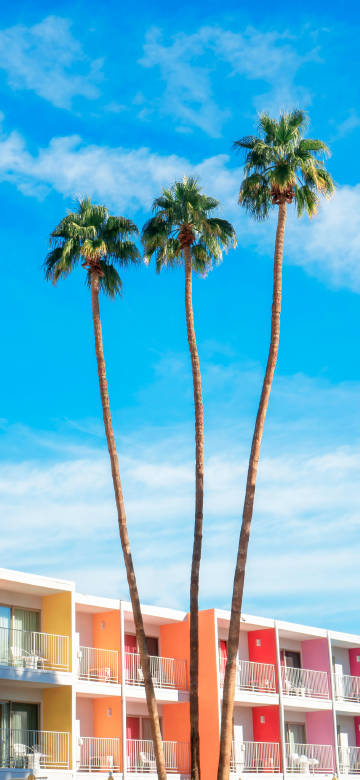 Coconut Trees Next To Colorful Buildings 4K Phone Wallpaper