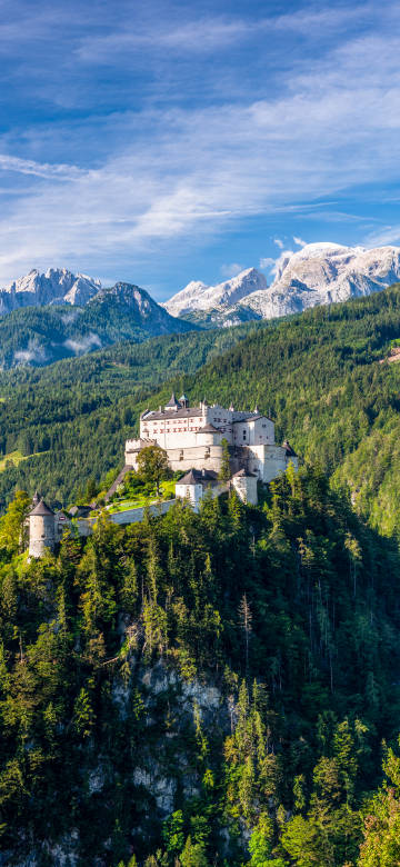 Castle in the mountain forest phone wallpaper