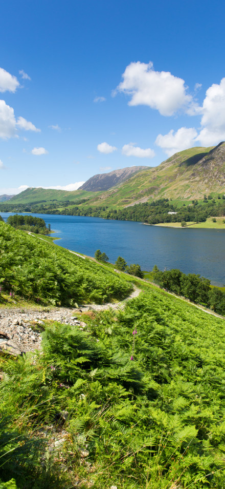 Lakes, mountains, green vegetation phone wallpaper