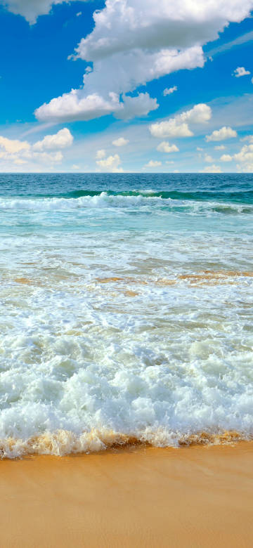 Fresh and natural seaside scenery phone wallpaper