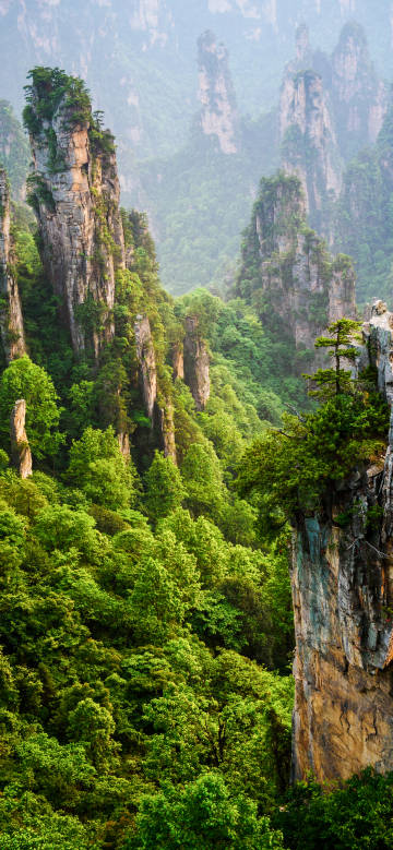 Spectacular mountains in Zhangjiajie, China phone wallpaper