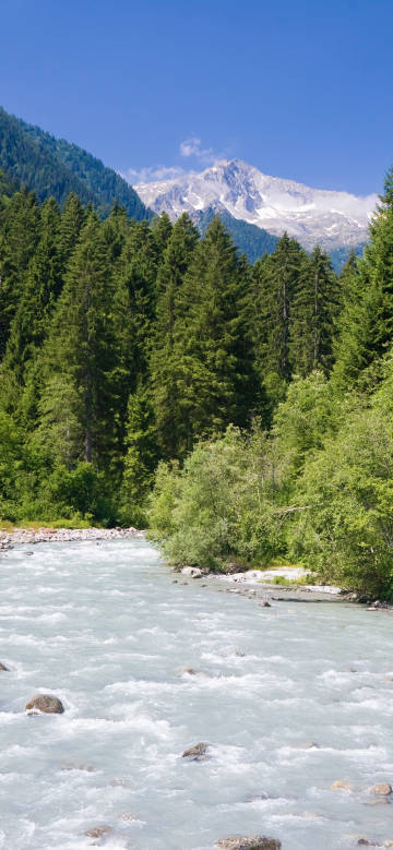 Rushing rivers, dense forests, Snow Mountain phone wallpaper