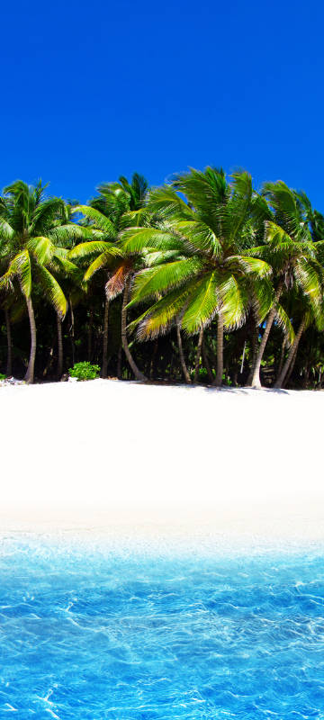Sea Seaside Trees Landscape phone Wallpaper