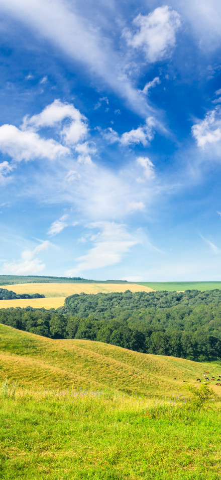Blue sky, white clouds and green grass 4k phone wallpaper