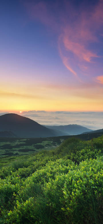 Mountain cloudy vegetation lush sunset scenery phone wallpaper
