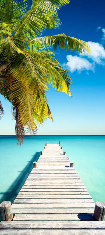 Summer seaside wooden trestle bridge scenery phone wallpaper