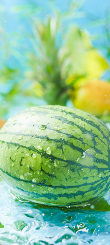 Summer watermelon fresh fruit phone wallpaper