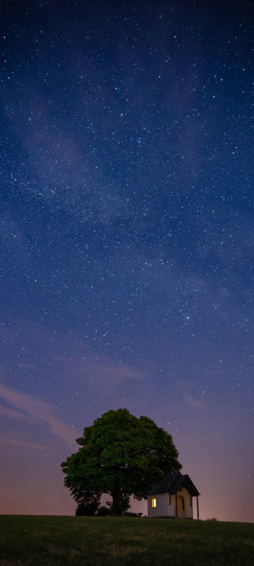Night Starry sky Tree Small House Landscape Phone Wallpaper