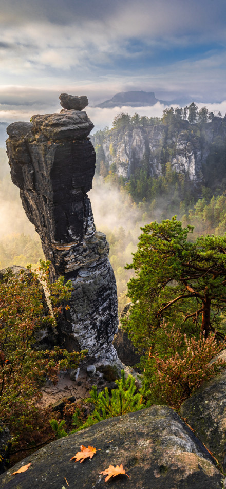 Scenery of the Little Switzerland National Park in Saxony Phone wallpaper