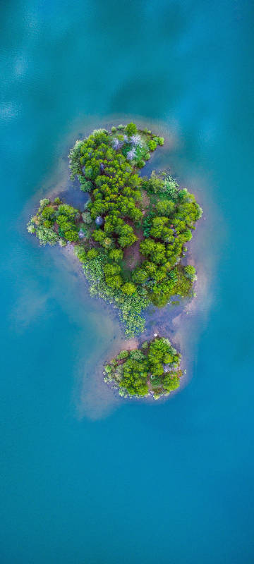 Ocean, island, forest, scenery phone wallpaper