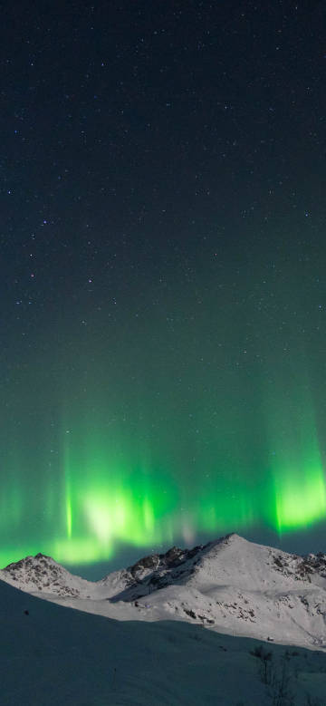 Green aurora dancing in the night sky phone wallpaper