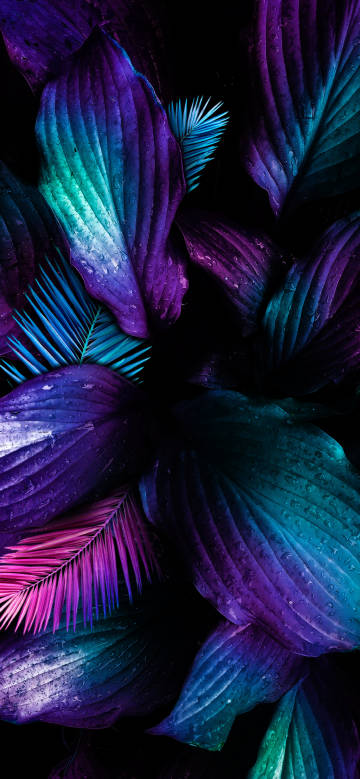 Colorful plant leaves close-up phone wallpaper