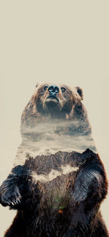 Bear's Illusionary Scene: The Wonders of Nature's Blending
