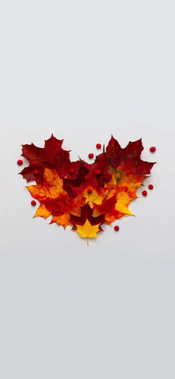 Heart shape made of maple leaves