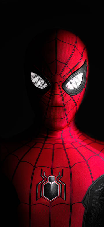 Spider-Man in the Dark