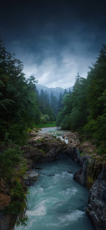 secluded stream in mountain forest