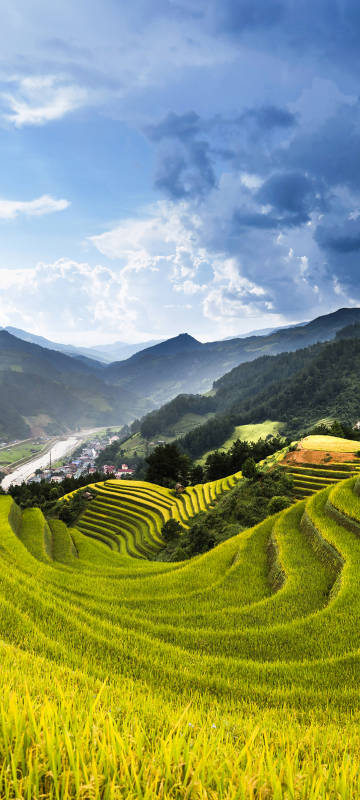 Spectacular terraced rice fields in Sapa, Vietnam