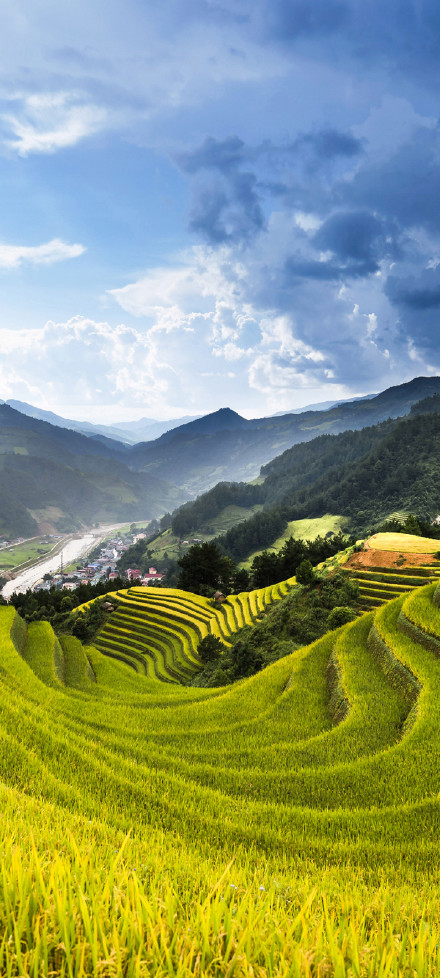 Spectacular terraced rice fields in Sapa, Vietnam