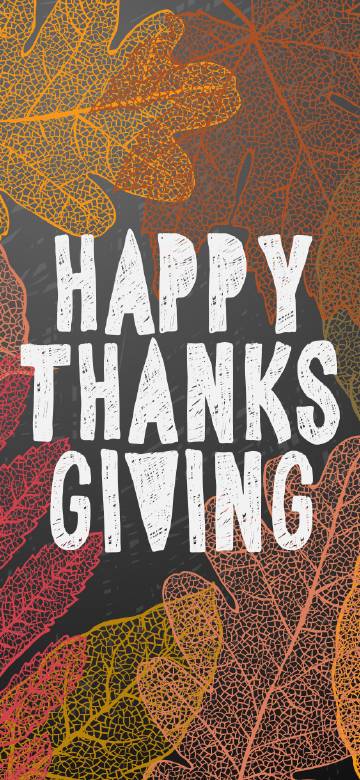 Hand Drawn Thanksgiving Greeting Card Wallpaper