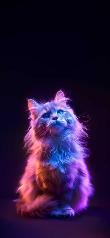 Neon Light Fluffy Cat 4K Wallpaper