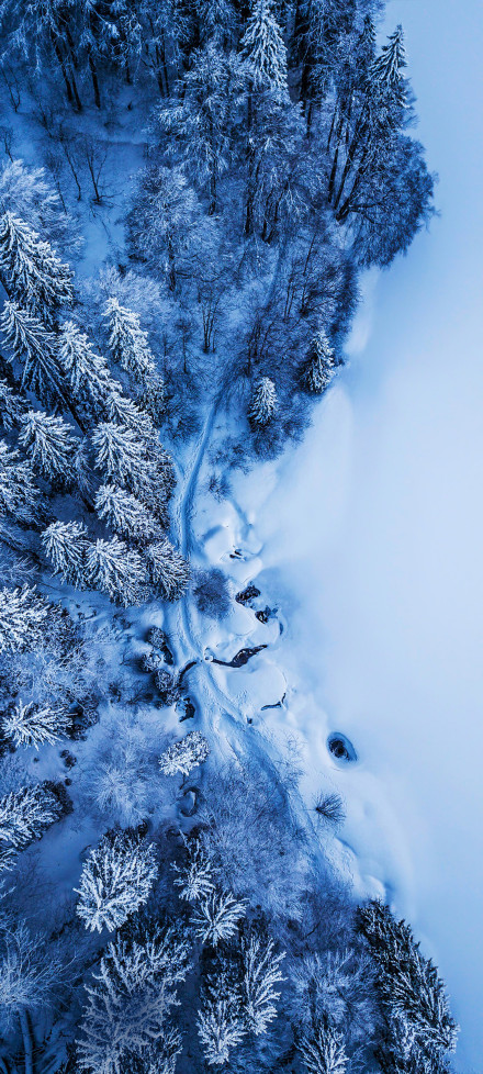 Snow scene phone wallpaper, snow, forest, path, beautiful