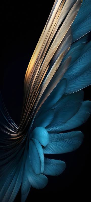 Beautiful blue-gold feathers on a black background wallpaper