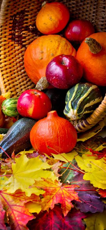 Thanksgiving Cornucopia Fruit And Vegetable Wallpaper