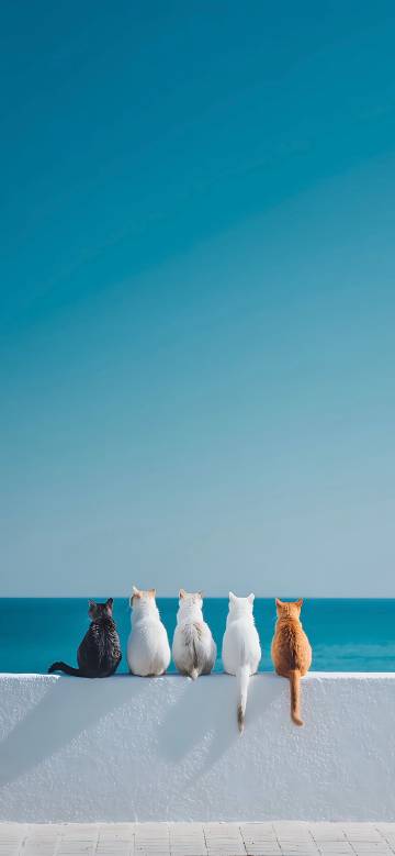 Five Cats Staring At The Ocean 4K Phone Wallpaper
