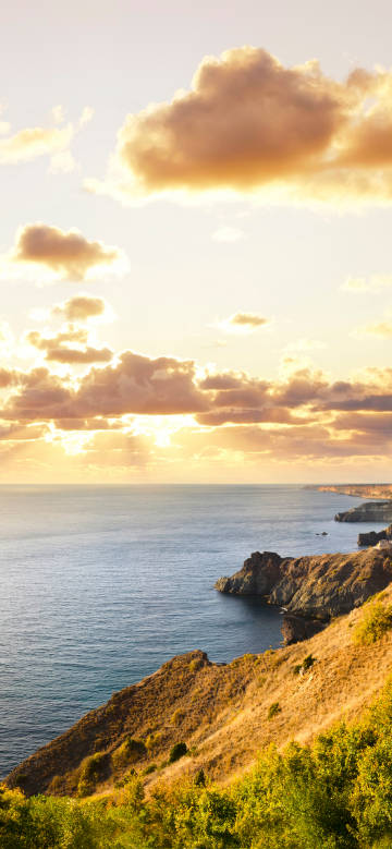 Sunset beauty at the seaside cliff phone wallpaper