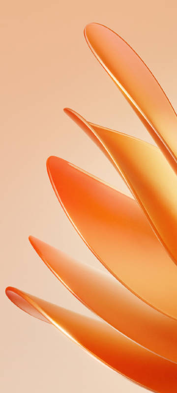 Soft Orange Abstract Petals Wallpaper