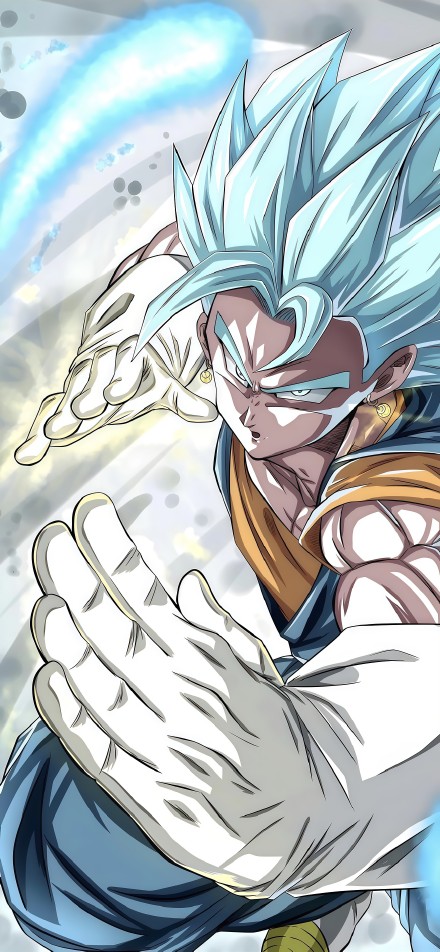 Warrior vegito in Dragon Ball Super phone wallpaper