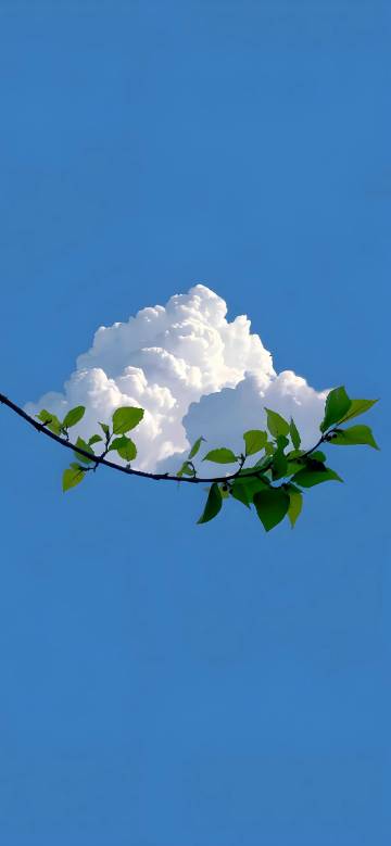 A white cloud floating on a green leafy branch wallpaper