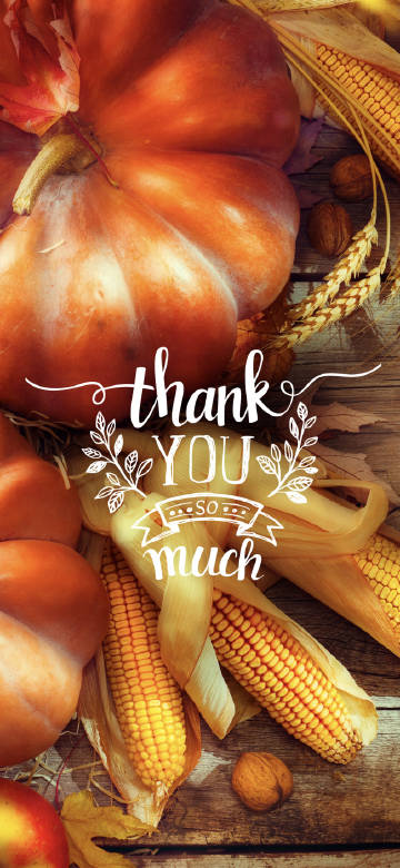 Rustic Pumpkin And Corn Harvest Thanksgiving Wallpaper