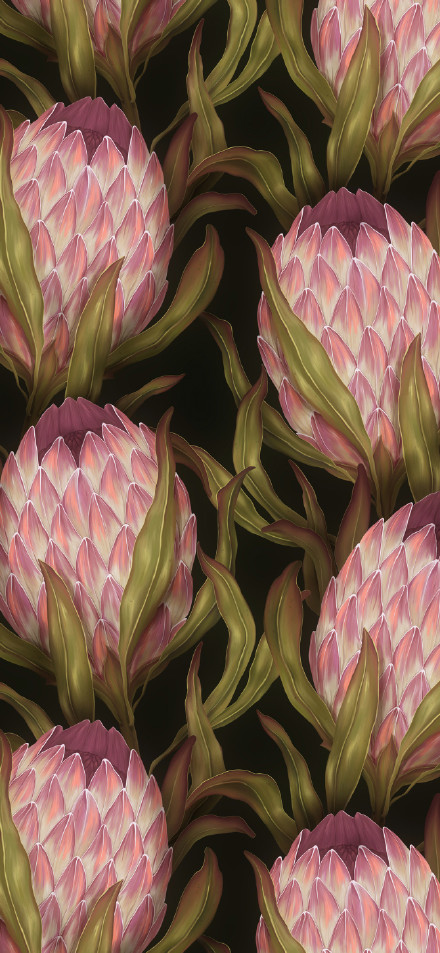 Proteas against a dark background phone wallpaper