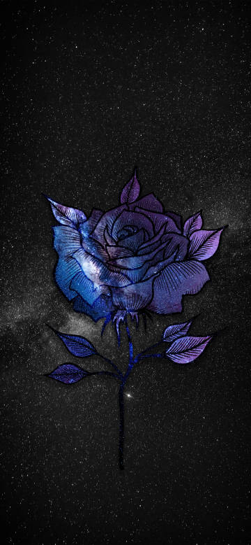Fantasy Violet Rose Blooming in Space 4K Wallpaper
