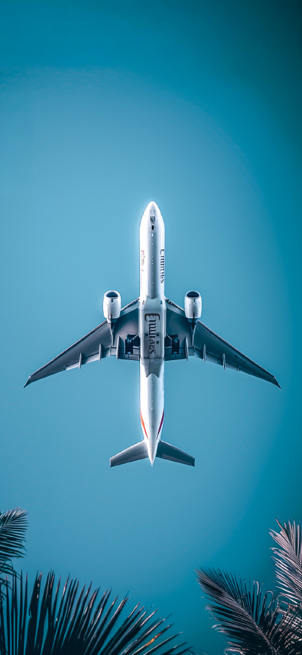 Airplane Flying Above Palm Trees Under Clear Blue Sky 4K Wallpaper