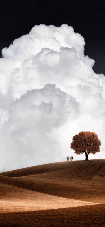 A Lone Tree and a Hill Under a Giant Cloud 4K Wallpaper