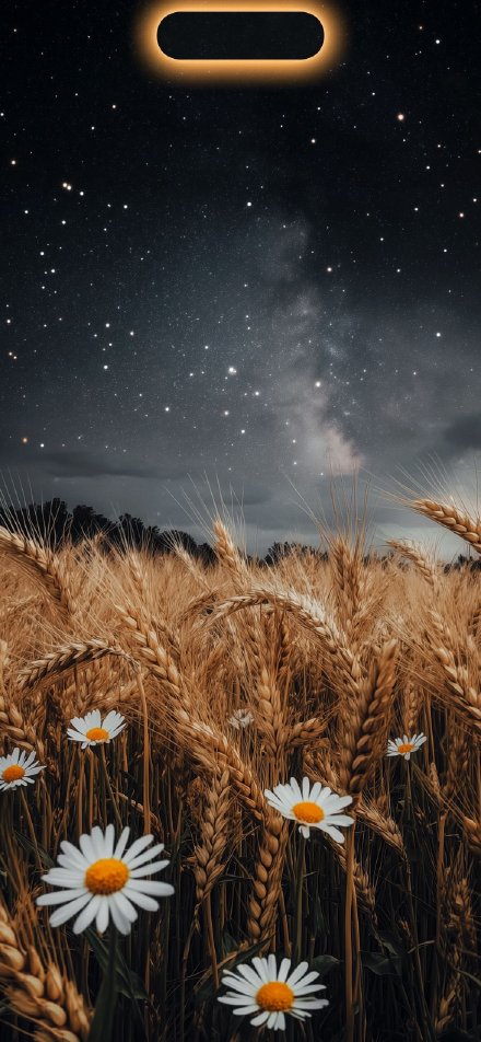 Vibrant Daisies and Wheat Under Starry Night