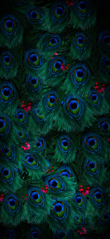 Dark green peacock feathers 4K phone wallpaper