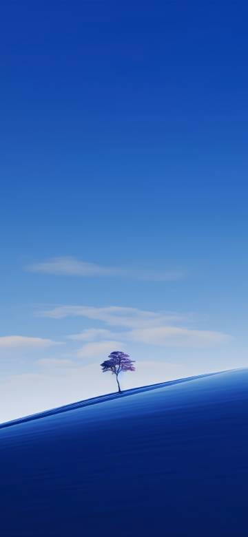 Lonely Tree on a Blue Slope Minimalism Wallpaper