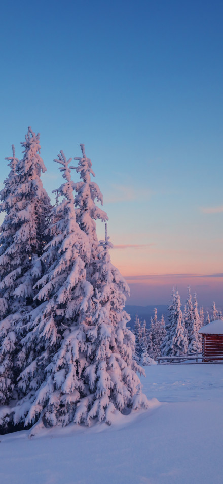 Winter Sunset Forest Cabin Wallpaper