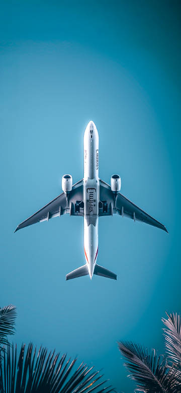 Airplane Flying Above Palm Trees Under Clear Blue Sky 4K Wallpaper