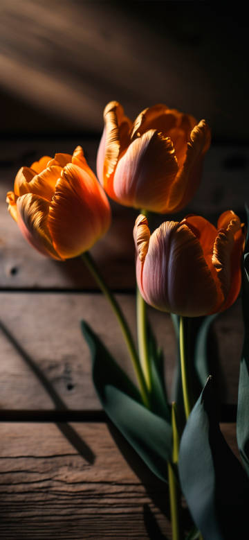 Orange Tulips Phone Wallpaper