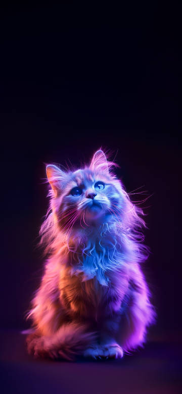 Neon Light Fluffy Cat 4K Wallpaper